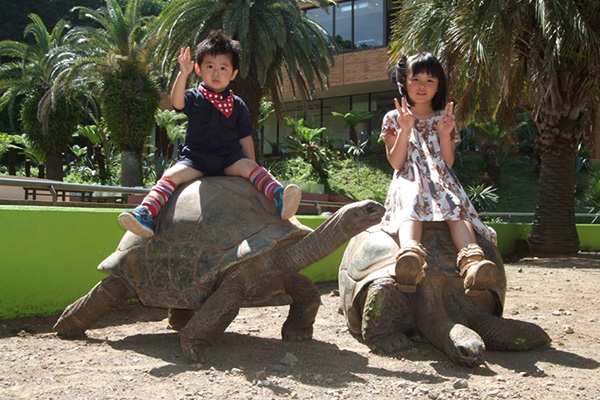 「体感型動物園 iZoo」のイメージ
