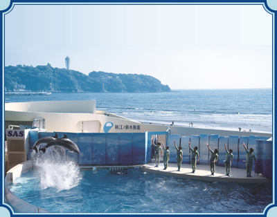 新江ノ島水族館 イメージ