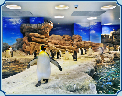 下関市立しものせき水族館「海響館」 イメージ