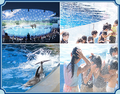京都水族館 イメージ
