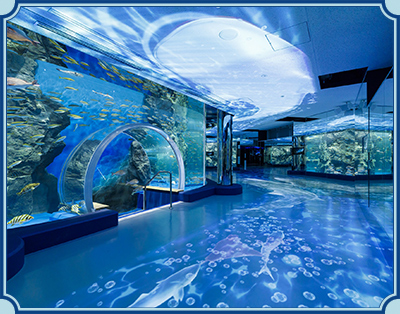 のとじま水族館 イメージ