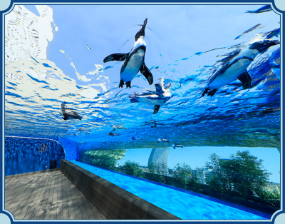 サンシャイン水族館 イメージ