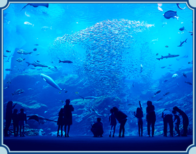 仙台うみの杜水族館 イメージ