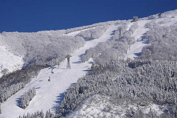 六日町八海山スキー場の風景
