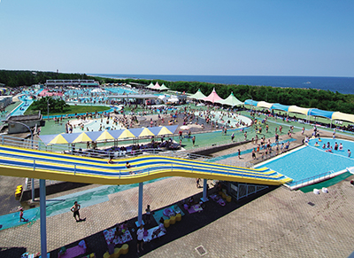 健民海浜公園プール プールイメージ