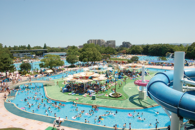 国営昭和記念公園 レインボープール イメージ