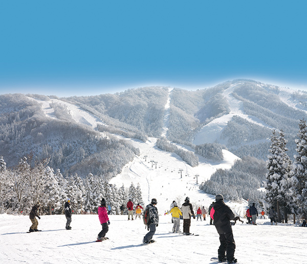 スキージャム勝山のイメージ