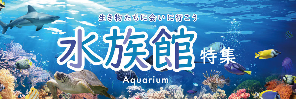 生き物たちに会いに行こう 水族館特集