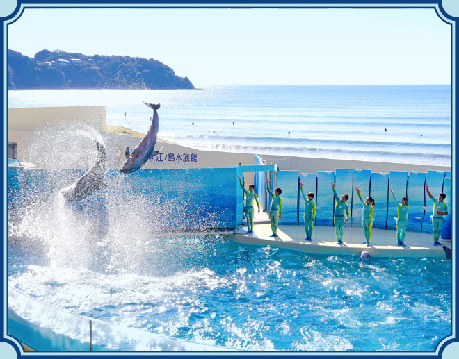 新江ノ島水族館のイメージ