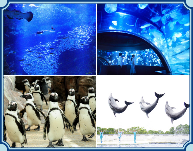 京都水族館のイメージ