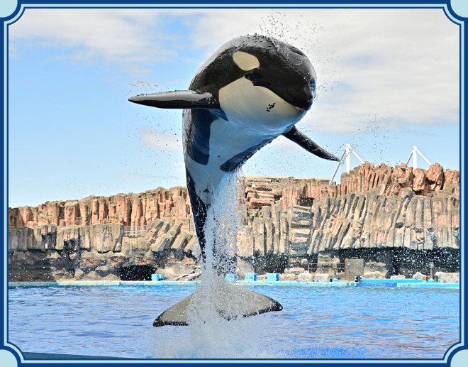 名古屋港水族館のイメージ