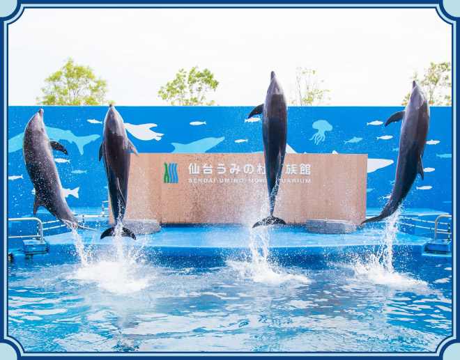 仙台うみの杜水族館のイメージ