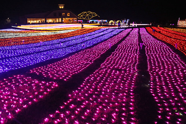 マザー牧場イルミネーション光の花園 イメージ