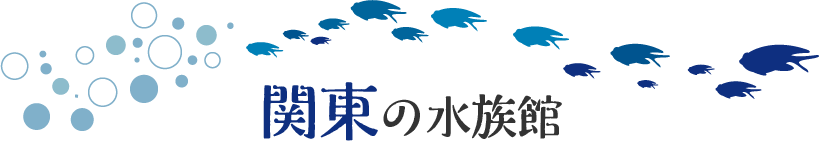 関東の水族館