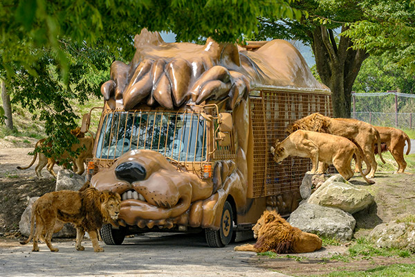 「九州自然動物公園 アフリカンサファリ」のイメージ