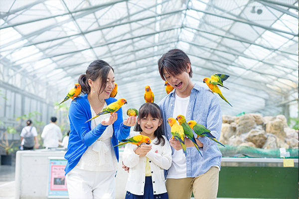 「掛川花鳥園」のイメージ