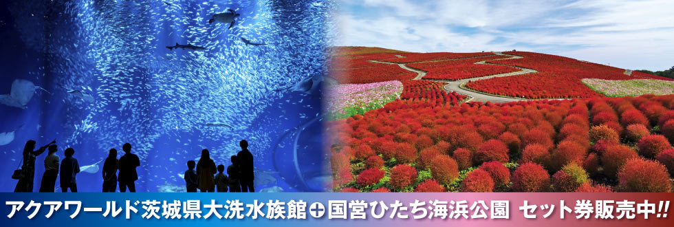 アクアワールド茨城県大洗水族館＋国営ひたち海浜公園 セット券