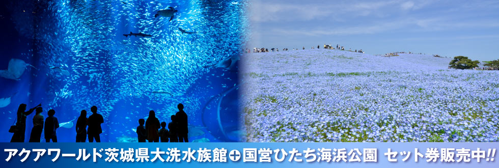 アクアワールド茨城県大洗水族館＋国営ひたち海浜公園 セット券