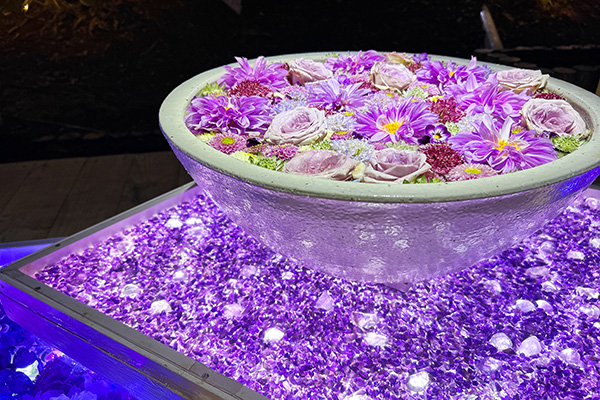 あしかがフラワーパーク 光の花手水