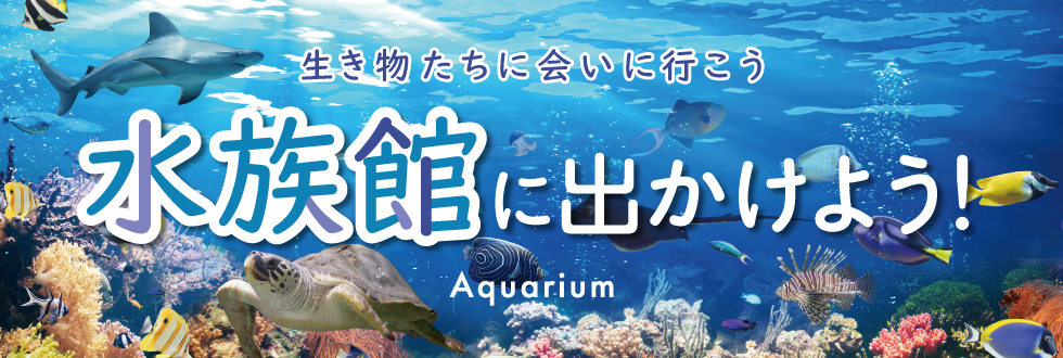 生き物たちに会いに行こう 水族館に出かけよう!