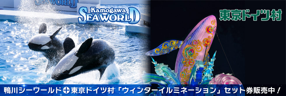 鴨川シーワールド＋東京ドイツ村「ウィンターイルミネーション」入園券付プラン