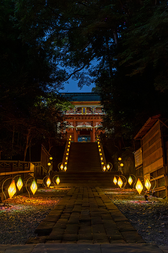 国宝 久能山東照宮 夜間特別拝観 光彩―IRODORI―