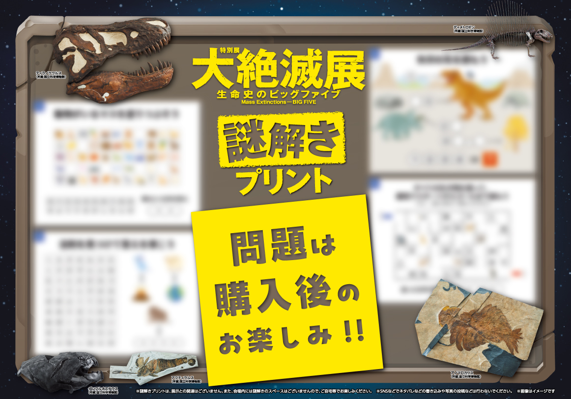 特別展「大絶滅展―生命史のビッグファイブ」 謎解きプリント