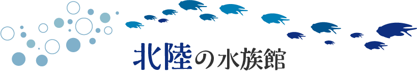 北陸の水族館