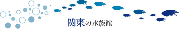 関東の水族館