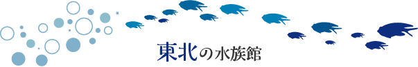 東北の水族館