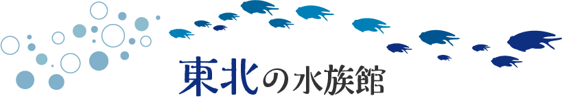 東北の水族館