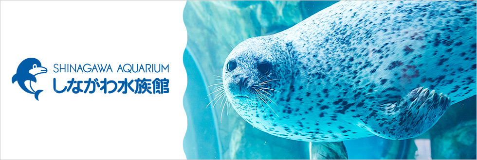しながわ水族館