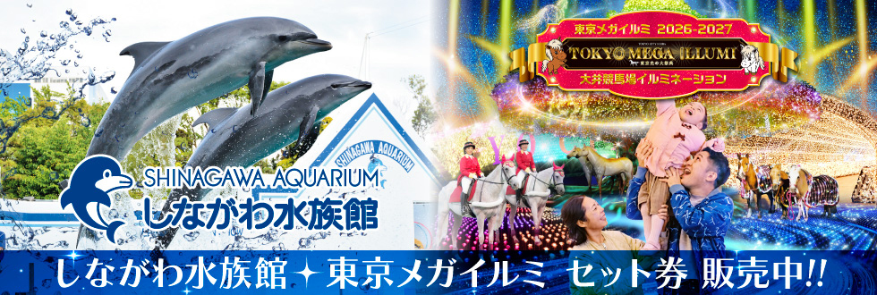 しながわ水族館×東京メガイルミ セット券