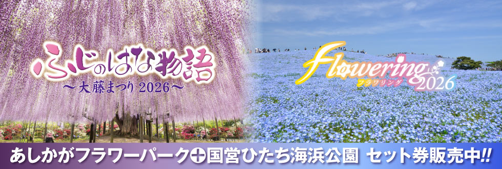 あしかがフラワーパーク＋国営ひたち海浜公園 セット券