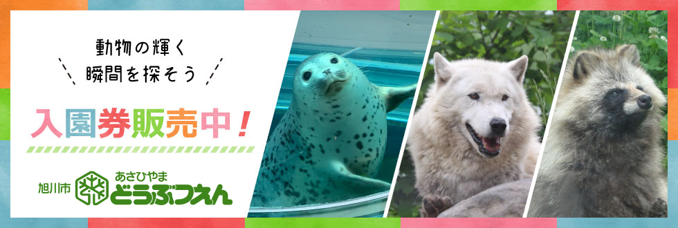 動物の輝く瞬間を探そう！ 旭山動物園 入園券販売中！