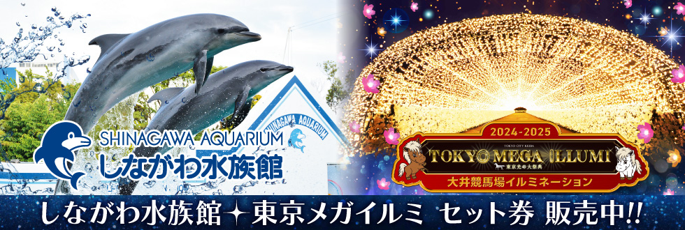 しながわ水族館×東京メガイルミセット券