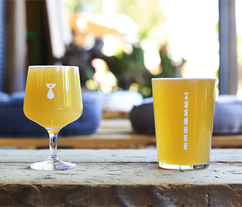 TEENAGE BREWING