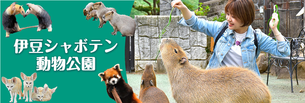 伊豆シャボテン動物公園