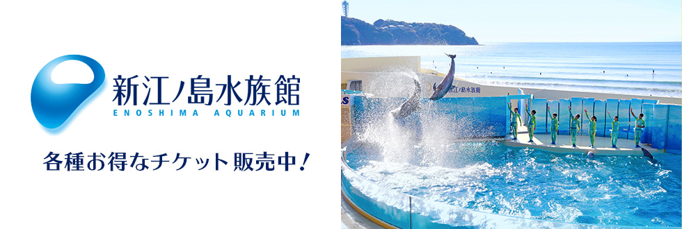 新江ノ島水族館｜セブン-イレブン チケット情報・購入・予約 セブンチケット