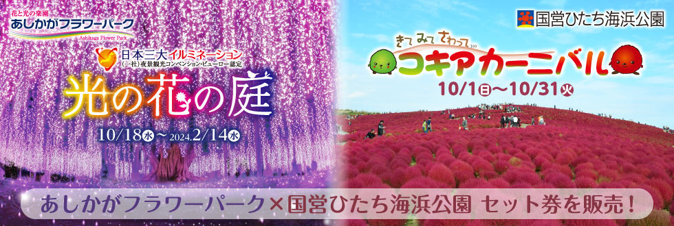 あしかがフラワーパーク×国営ひたち海浜公園セット券販売中！