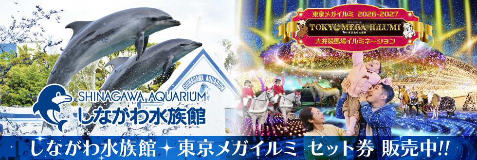 しながわ水族館×東京メガイルミ セット券