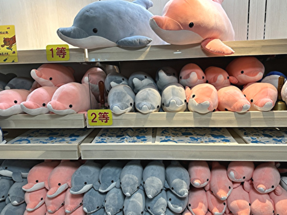 ぬいぐるみくじ付き入場券