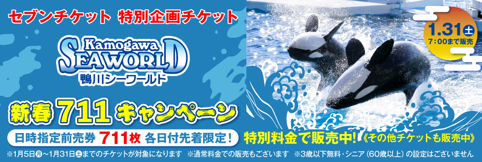 鴨川シーワールド【各日711枚限定★新春711キャンペーン】（1/5～1/31日付指定入館券）