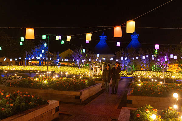 なばなの里 ランタンガーデン