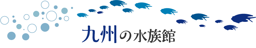 九州の水族館