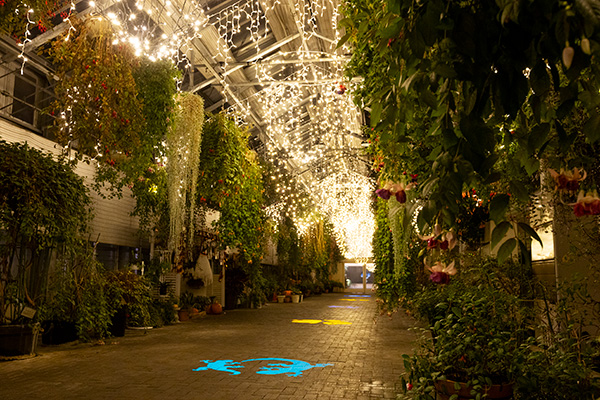 なばなの里 ベゴニアガーデン