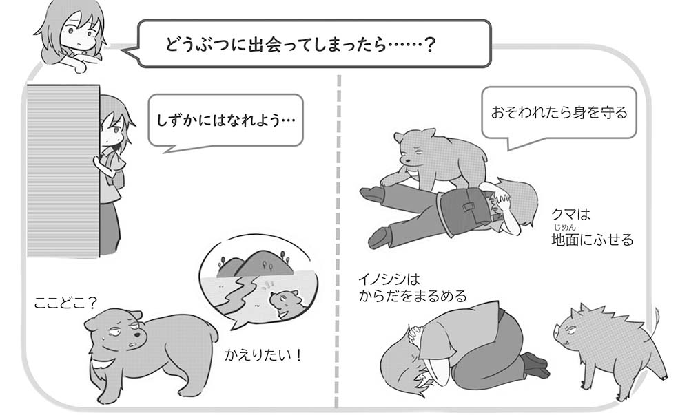 野生動物防御姿勢