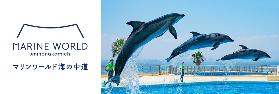 マリンワールド海の中道