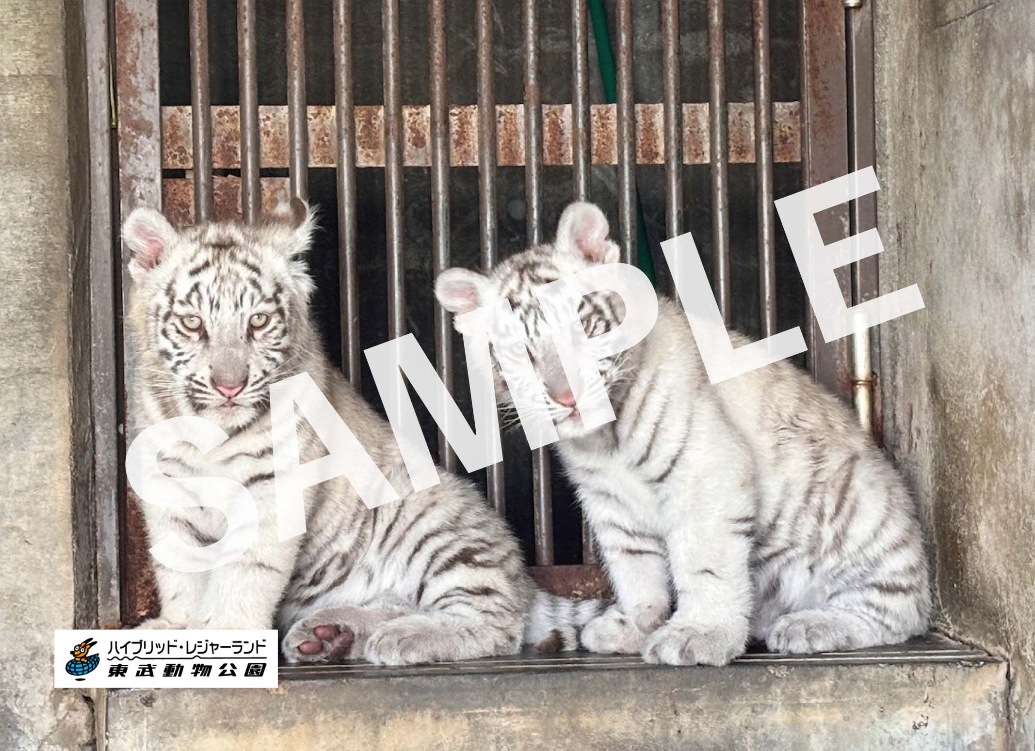 東武動物公園｜セブン-イレブン チケット情報・購入・予約 セブンチケット