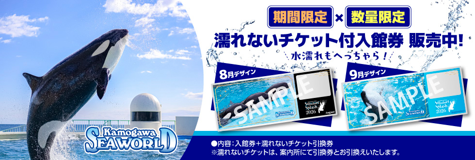 鴨川シーワールド【濡れないチケット付入館券】